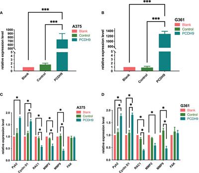 Circ_0084043-miR-134-5p axis regulates PCDH9 to suppress melanoma